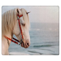 The White Horse Cosplay To Unicorn With Small Horn On The Head With Sea In Sunset As A Background Real Unicorn Head Shot Of Horse Rugs 250105688