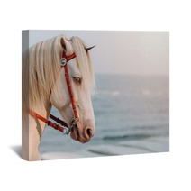 The White Horse Cosplay To Unicorn With Small Horn On The Head With Sea In Sunset As A Background Real Unicorn Head Shot Of Horse Wall Art 250105688