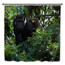 The Young Male Lowland Gorilla Bath Decor 25662166