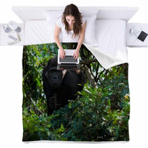 The Young Male Lowland Gorilla Blankets 25662166