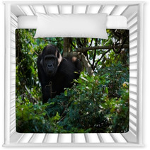 The Young Male Lowland Gorilla Nursery Decor 25662166