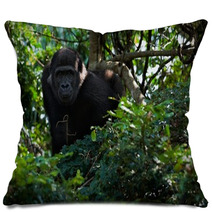 The Young Male Lowland Gorilla Pillows 25662166