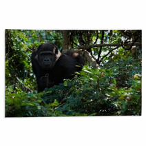 The Young Male Lowland Gorilla Rugs 25662166