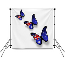 Three Australian Flag Butterflies Isolated On White Backdrops 40363108