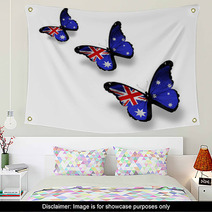 Three Australian Flag Butterflies Isolated On White Wall Art 40363108