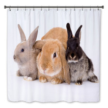 Three Bunny On A White Background Bath Decor 4750474