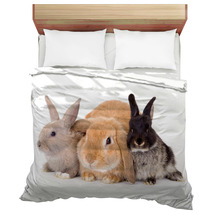 Three Bunny On A White Background Bedding 4750474