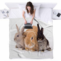 Three Bunny On A White Background Blankets 4750474