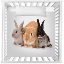 Three Bunny On A White Background Nursery Decor 4750474