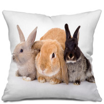 Three Bunny On A White Background Pillows 4750474