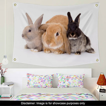 Three Bunny On A White Background Wall Art 4750474