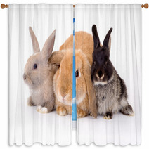 Three Bunny On A White Background Window Curtains 4750474