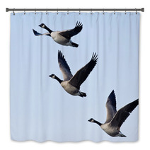 Three Canada Geese Flying In A Blue Sky Bath Decor 73438412