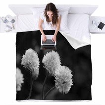 Three Delicate Blooms On A Chive Plant Blankets 71180993