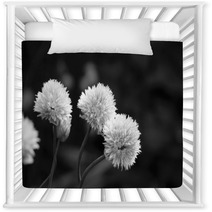 Three Delicate Blooms On A Chive Plant Nursery Decor 71180993