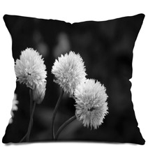 Three Delicate Blooms On A Chive Plant Pillows 71180993
