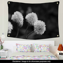 Three Delicate Blooms On A Chive Plant Wall Art 71180993