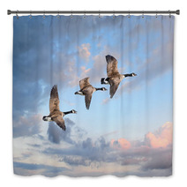 Three Geese Flying At A Clear Sky Bath Decor 84465604