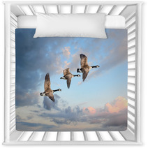 Three Geese Flying At A Clear Sky Nursery Decor 84465604