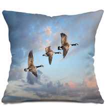 Three Geese Flying At A Clear Sky Pillows 84465604