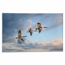 Three Geese Flying At A Clear Sky Rugs 84465604