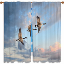 Three Geese Flying At A Clear Sky Window Curtains 84465604