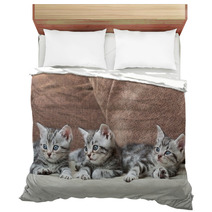 Three Kitten Brothers Bedding 66657134