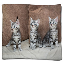Three Kitten Brothers Blankets 66657107