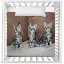 Three Kitten Brothers Nursery Decor 66657107