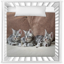 Three Kitten Brothers Nursery Decor 66657134