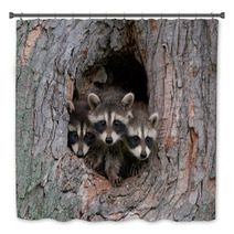 Three Raccoons Bath Decor 47975031
