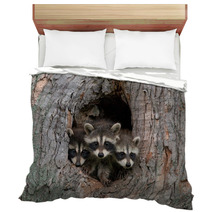 Three Raccoons Bedding 47975031