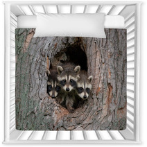 Three Raccoons Nursery Decor 47975031