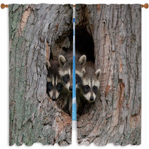 Three Raccoons Window Curtains 47975031