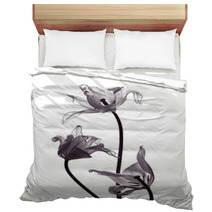 Three Tranparent Tulips On White Background Bedding 50174162