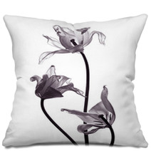 Three Tranparent Tulips On White Background Pillows 50174162