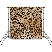 Tiger Fur Texture Backdrops 69933759