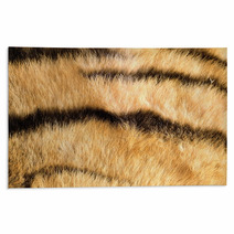 Tiger Pelt Close Up Rugs 66878885