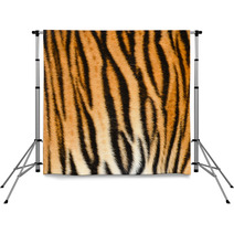 Tiger Skin Backdrops 43655377