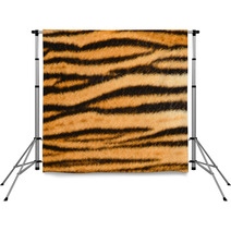 Tiger Skin Backdrops 43655420