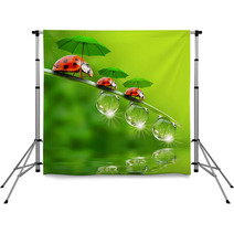 Tiny Little Ladybugs With Umbrellas Backdrops 58361634