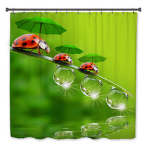 Tiny Little Ladybugs With Umbrellas Bath Decor 58361634