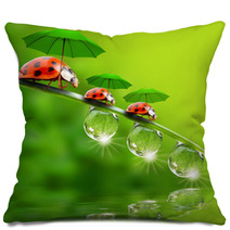 Tiny Little Ladybugs With Umbrellas Pillows 58361634