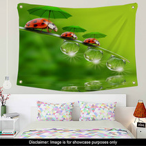 Tiny Little Ladybugs With Umbrellas Wall Art 58361634