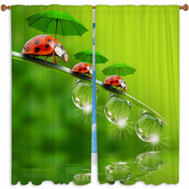 Tiny Little Ladybugs With Umbrellas Window Curtains 58361634