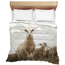 Top Of The Sheep Heap Bedding 63770357