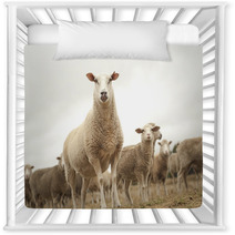 Top Of The Sheep Heap Nursery Decor 63770357