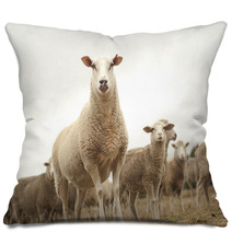 Top Of The Sheep Heap Pillows 63770357