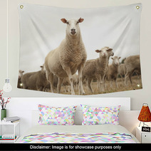 Top Of The Sheep Heap Wall Art 63770357