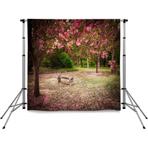 Tranquil Garden Bench Surrounded By Cherry Blossom Trees Backdrops 52571978